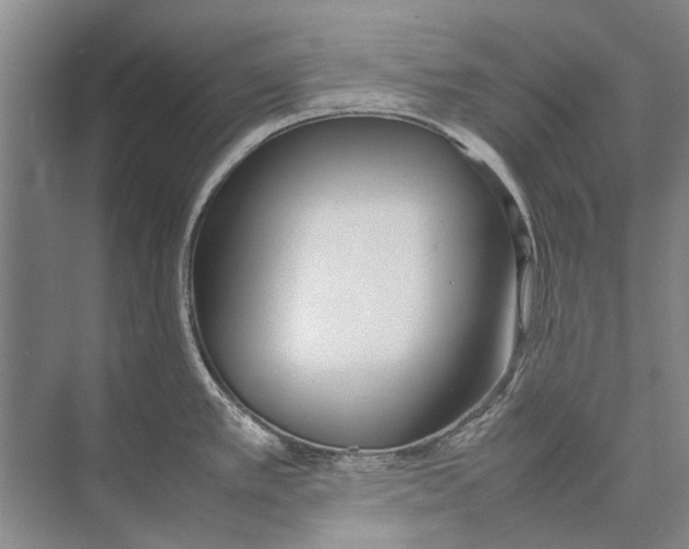 X0000074311389200609222349