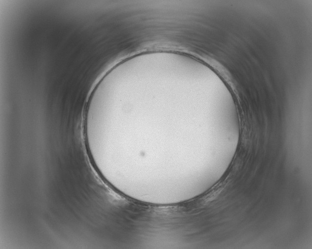 X0000074311390200609222349