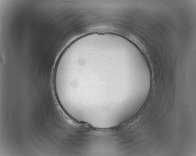 X0000074311392200609222349