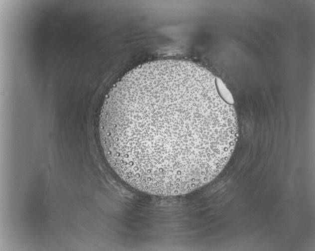 X0000074311393200609222348