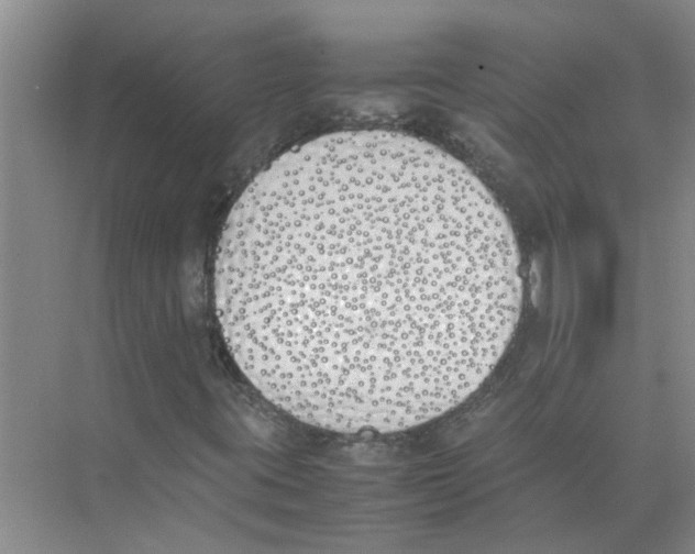 X0000074311395200609222348