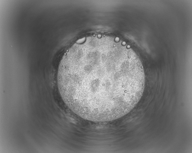 X0000074311399200609222348