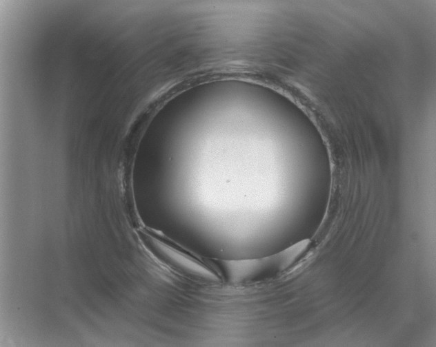 X0000074311402200609222349