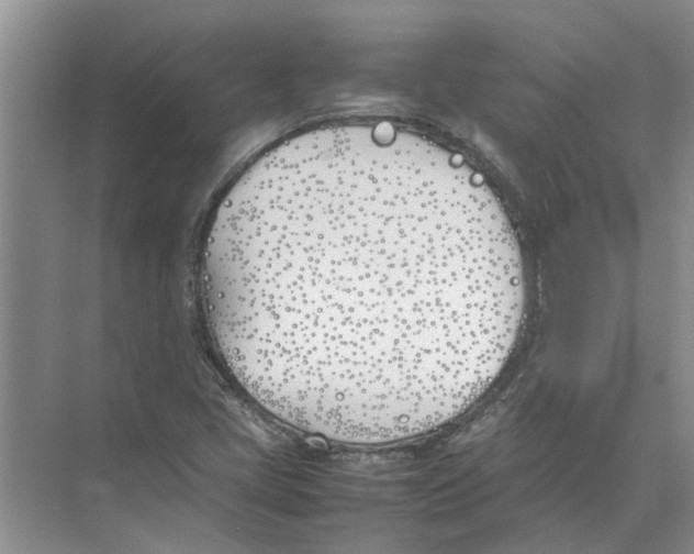 X0000074311405200609222349