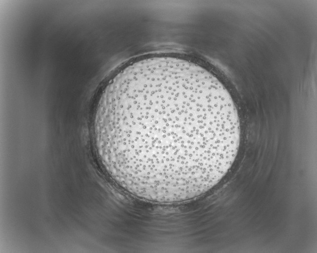 X0000074311407200609222349