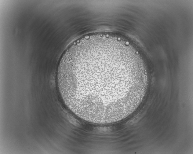 X0000074311409200609222349