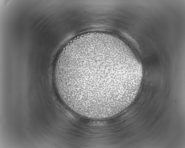 X0000074311411200609222349