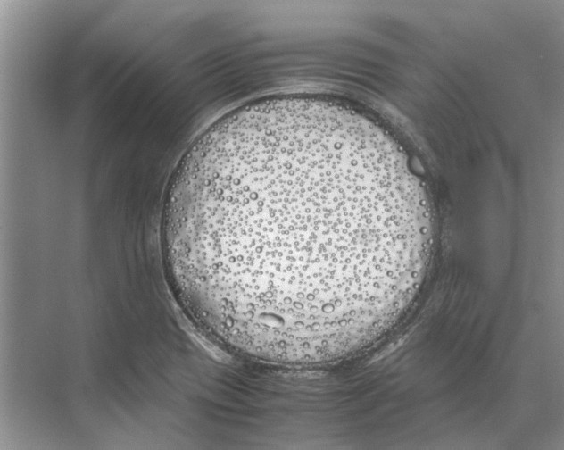 X0000074311417200609222349