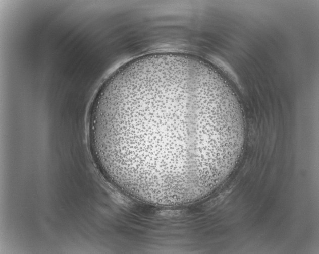 X0000074311419200609222349