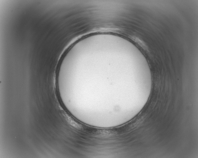 X0000074311420200609222349