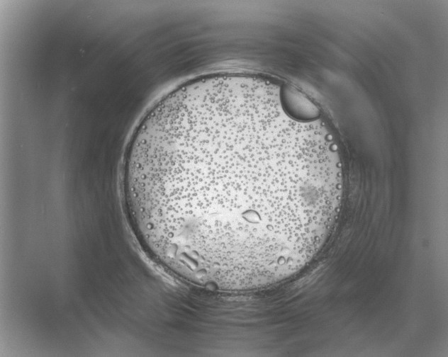 X0000074311421200609222349