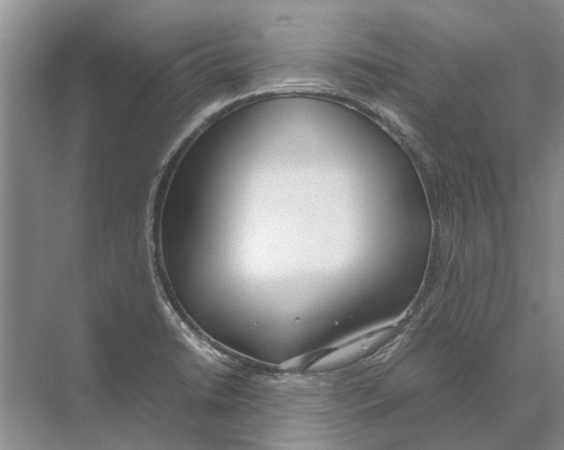 X0000074311422200609222349