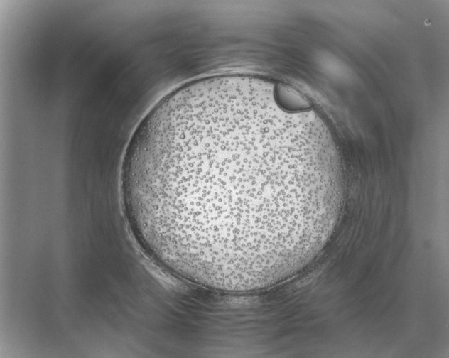 X0000074311423200609222349