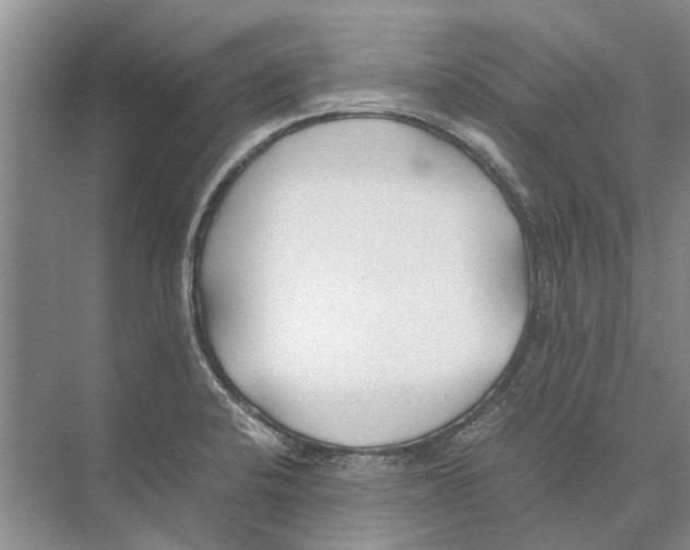 X0000074311424200609222349