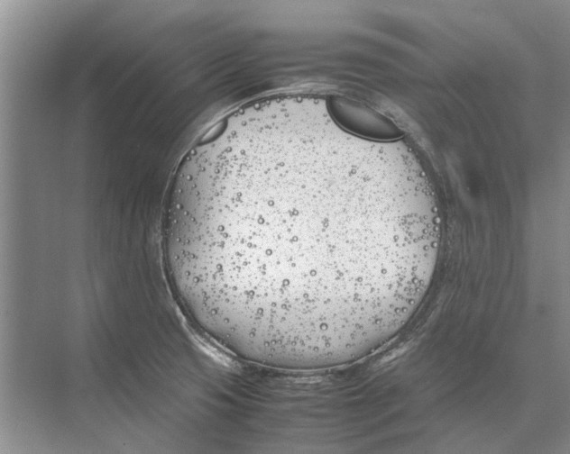 X0000074311425200609222349