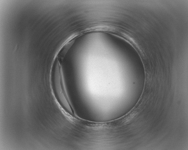 X0000074311426200609222349