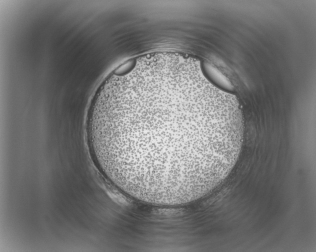 X0000074311427200609222349