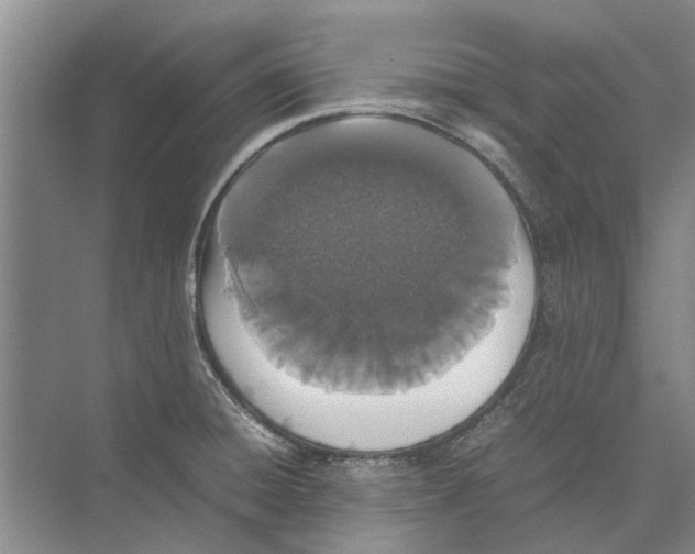 X0000074311428200609222349