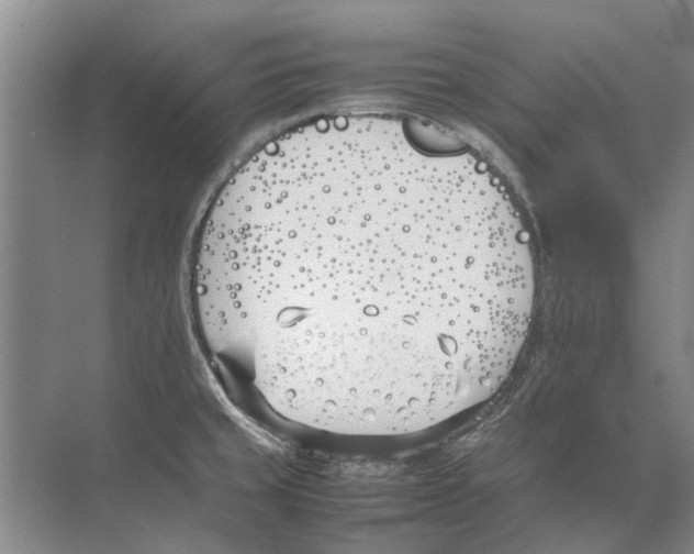 X0000074311429200609222349