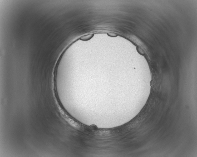 X0000074311431200609222349