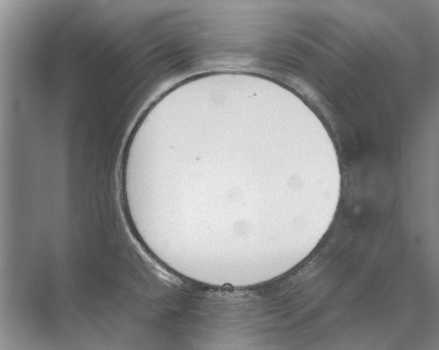 X0000074311432200609222349