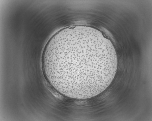 X0000074311435200609222349