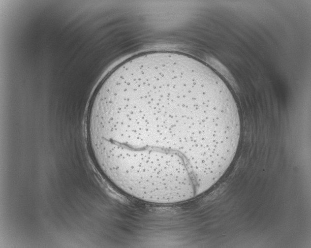 X0000074311436200609222349