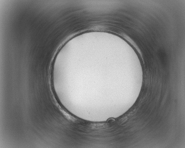 X0000074311437200609222349