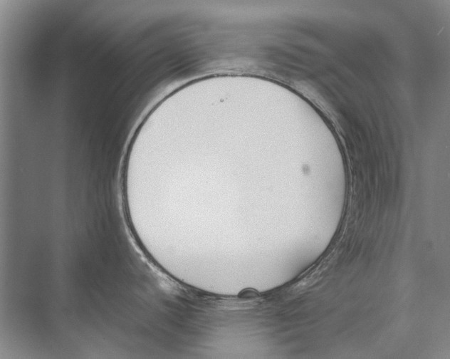 X0000074311440200609222349