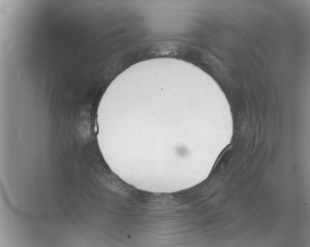 X0000074311442200609222348