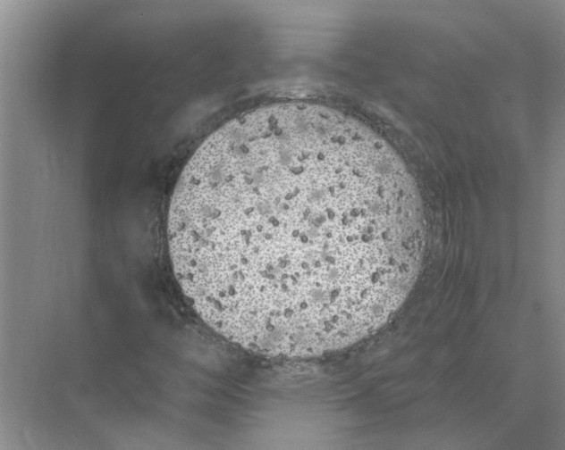 X0000074311446200609222348