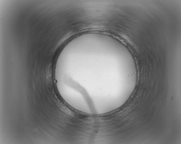 X0000074311450200609222348