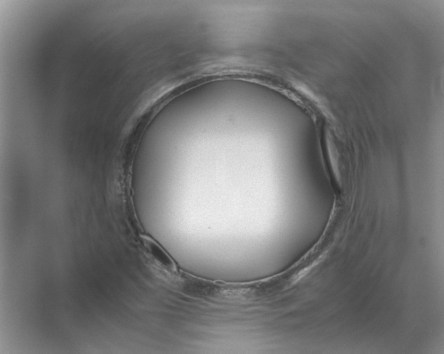 X0000074311453200609222348