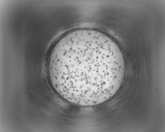 X0000074311454200609222348