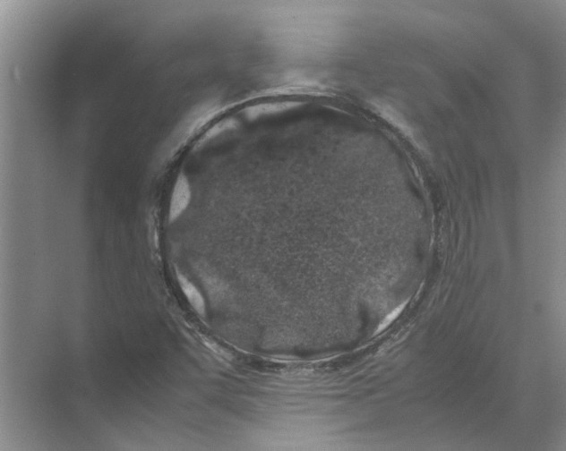 X0000074311455200609222348