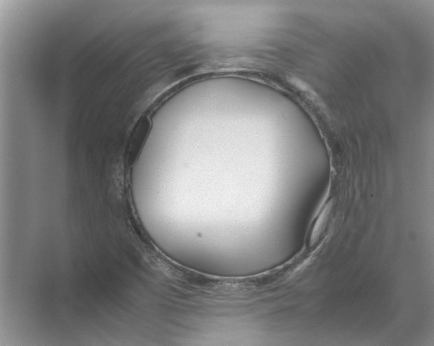 X0000074311457200609222348