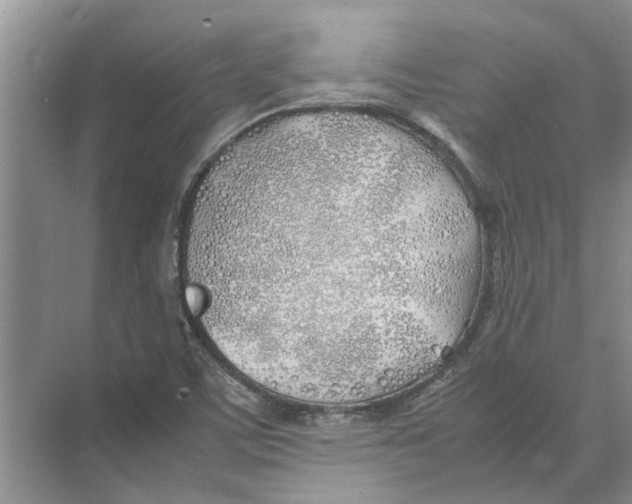 X0000074311459200609222348