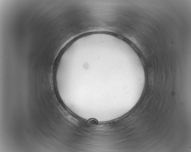 X0000074311460200609222348