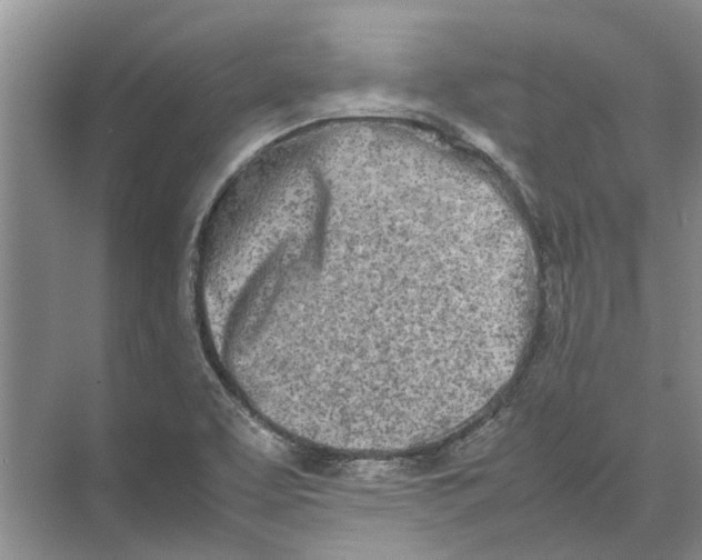 X0000074311463200609222348