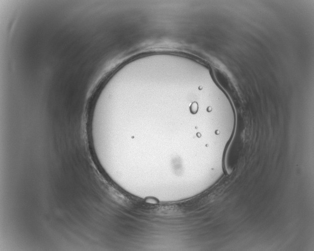 X0000074311464200609222348