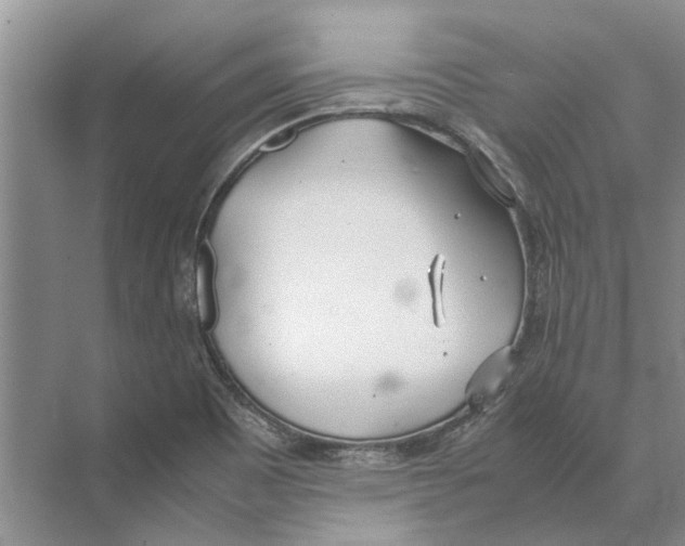 X0000074311465200609222348