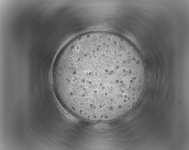 X0000074311466200609222348