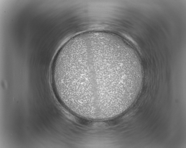 X0000074311467200609222348