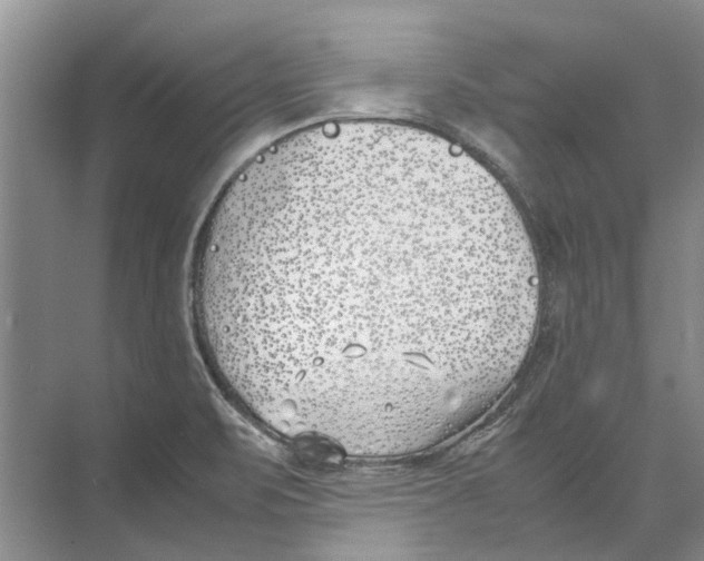 X0000074311471200609222348