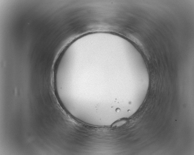 X0000074311472200609222348