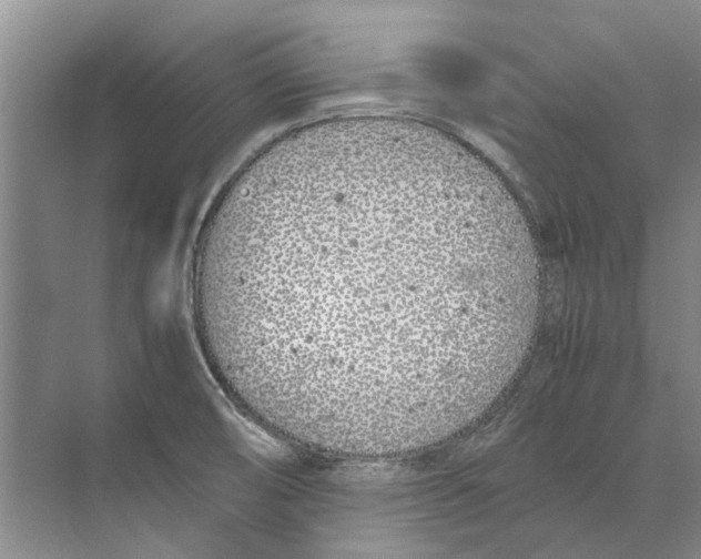 X0000074311474200609222348