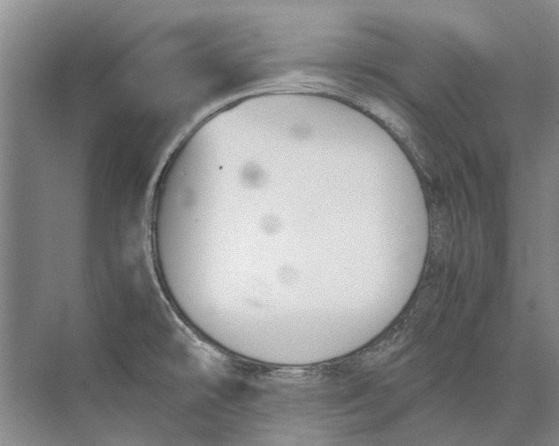 X0000074311478200609222348