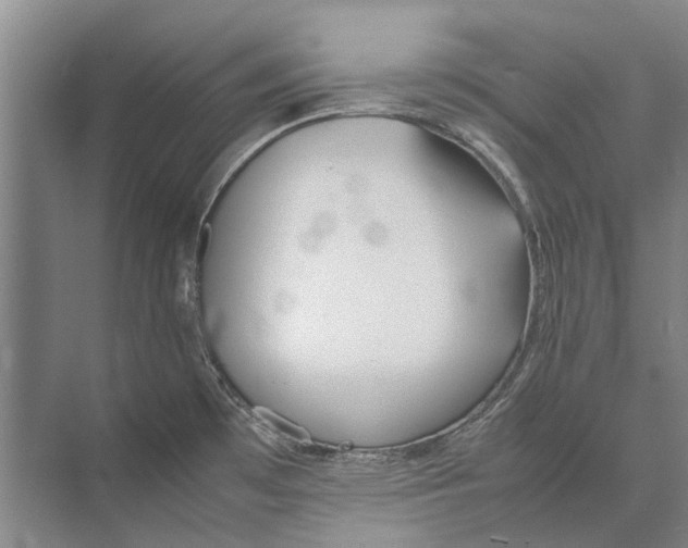 X0000074311481200609222348