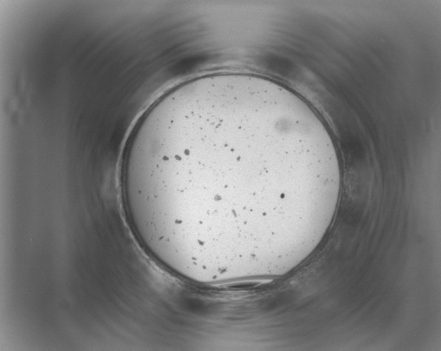 X0000074311482200609222348