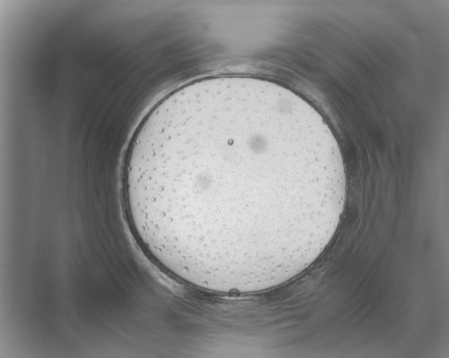 X0000074311483200609222348